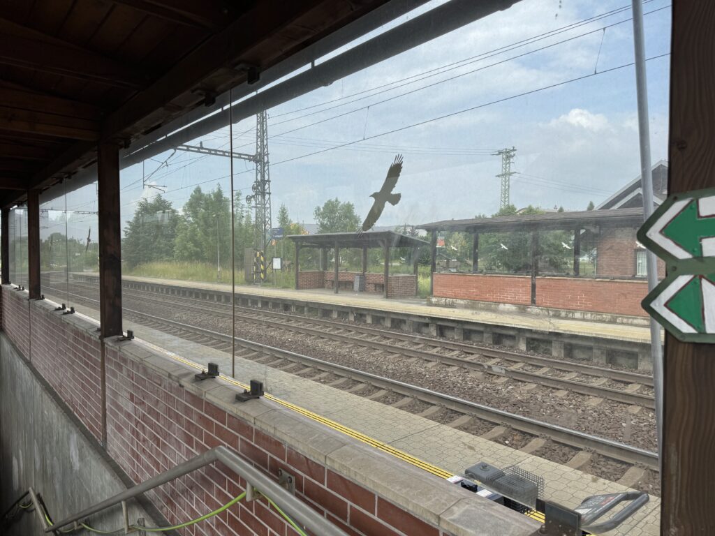 ŽST Vendryně - Předtím