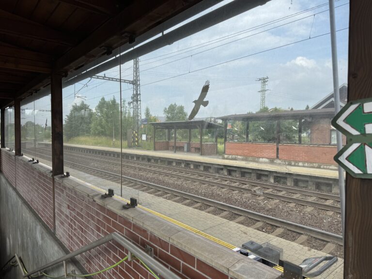 Čištění skel – ŽST Vendryně - Předtím