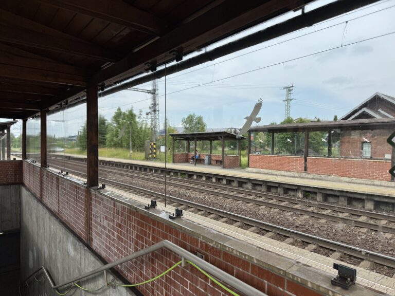 Čištění skel – ŽST Vendryně - Potom