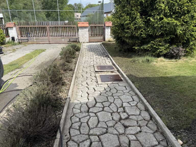 Čištění střechy a dlažby – Žermanice - Potom
