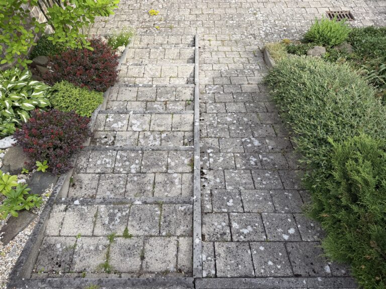 Předtím